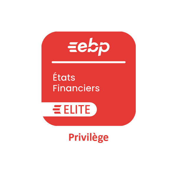 Abonnement annuel local EBP Etats Financier Expert